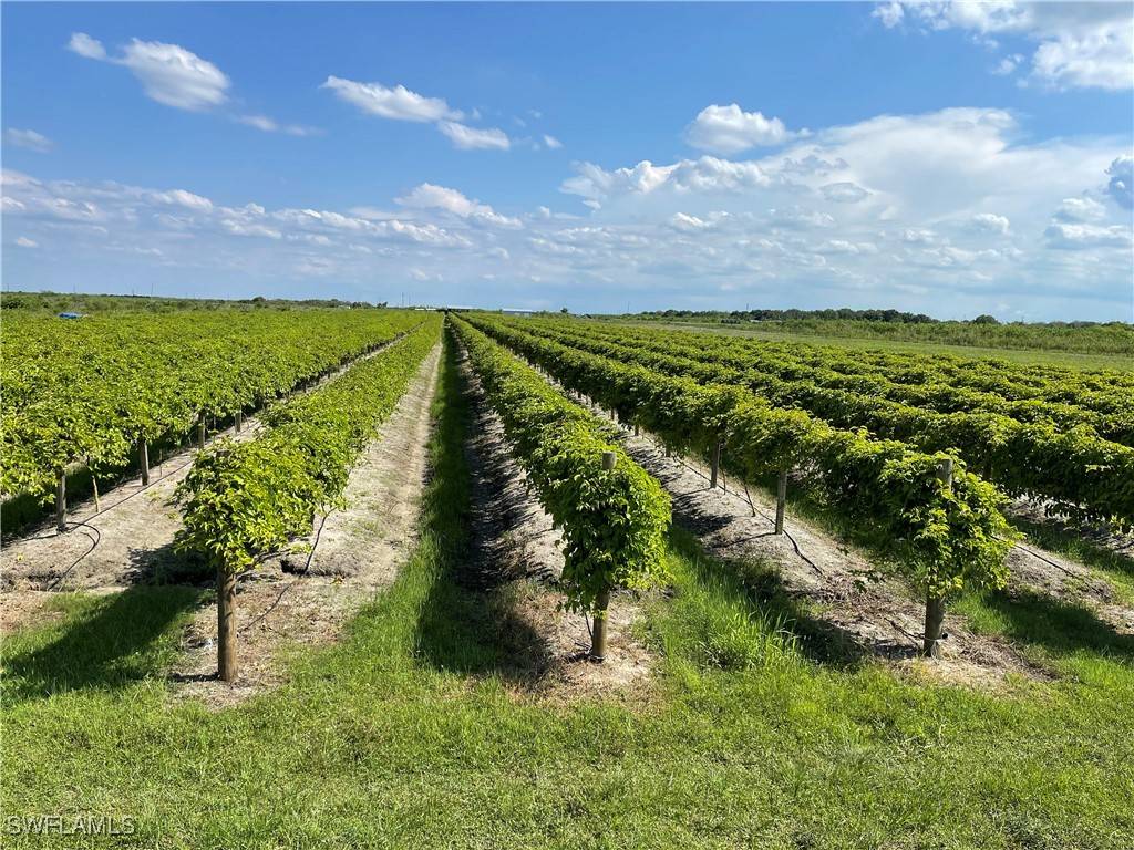 Labelle, FL 33935,5567 5th RD