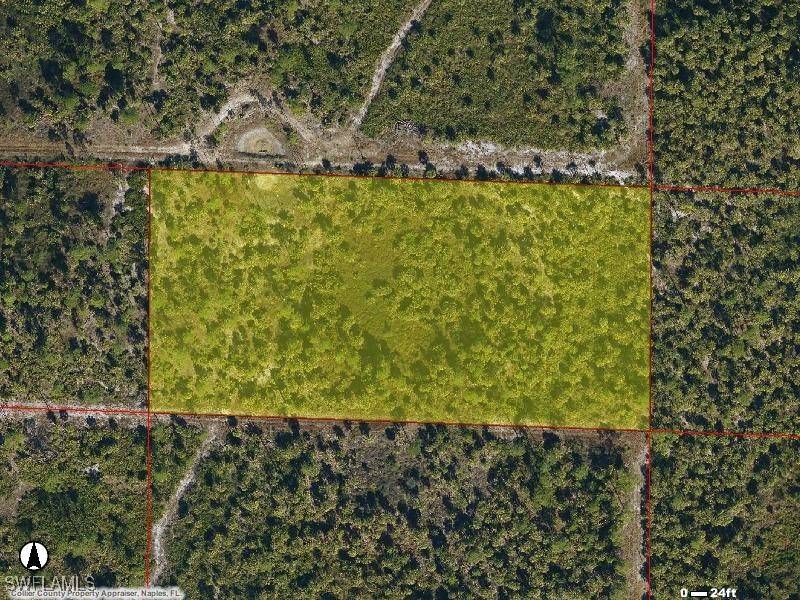 Naples, FL 34117,FRANGIPINI