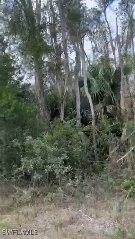 Lehigh Acres, FL 33974,711 Kari CIR
