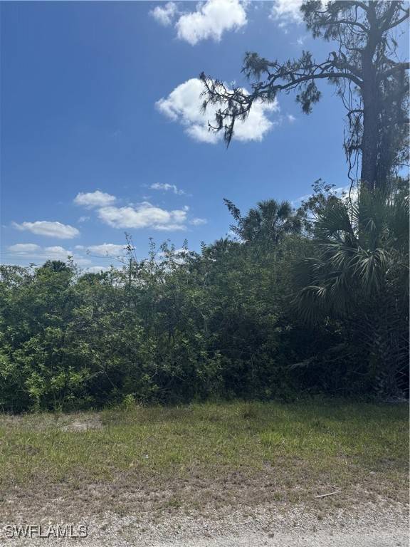 Lehigh Acres, FL 33972,1874 La Roda AVE