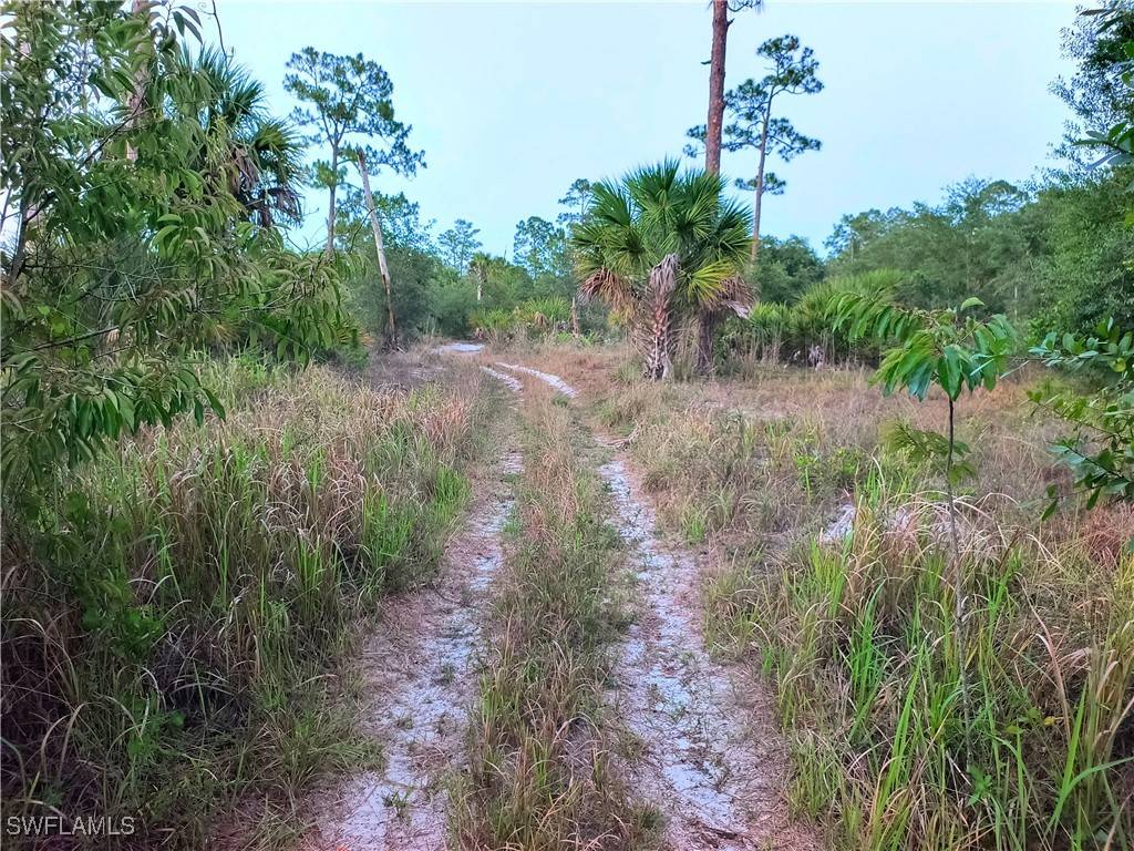 Clewiston, FL 33440,565 S Datil ST