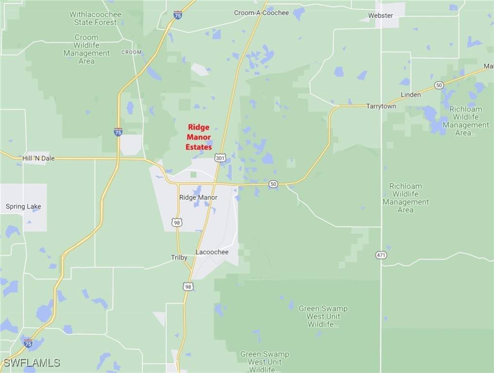 Webster, FL 33597,8009 Packingham ST