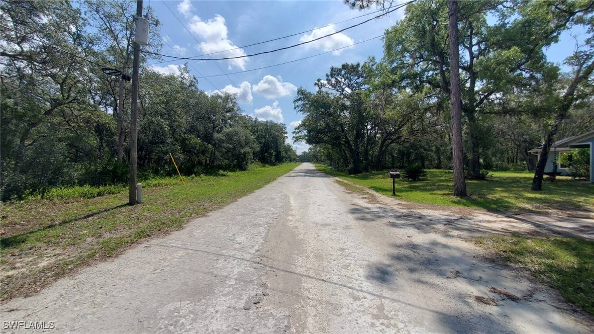 Webster, FL 33597,35017 Primrose LN