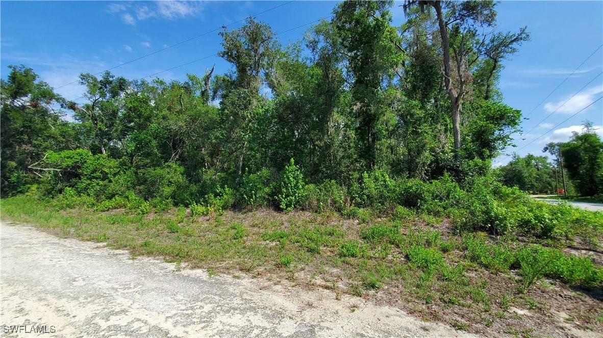 Webster, FL 33597,7475 Shasta ST