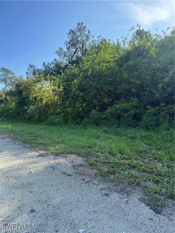 Clewiston, FL 33440,765 N Zambria ST