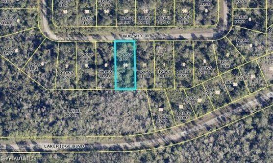 Lehigh Acres, FL 33972,381 Walsh CIR