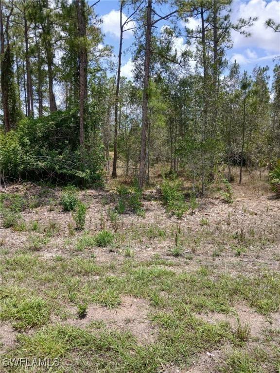 Lehigh Acres, FL 33972,2142 Winnetka DR