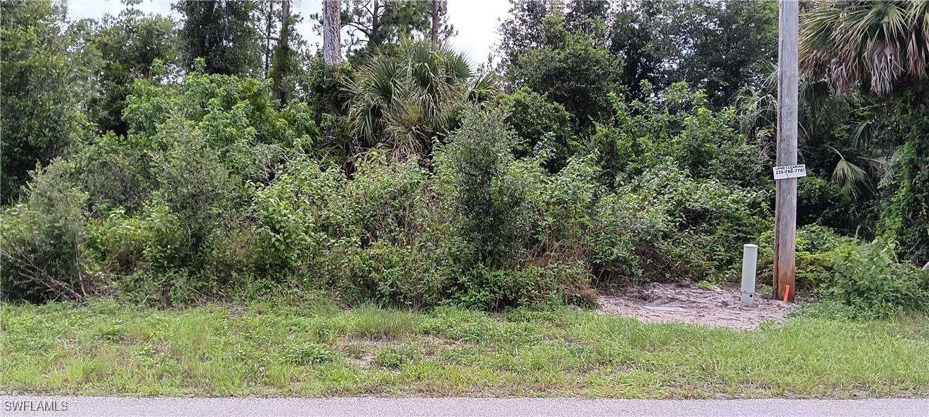 Lehigh Acres, FL 33974,832 Anaconda AVE S