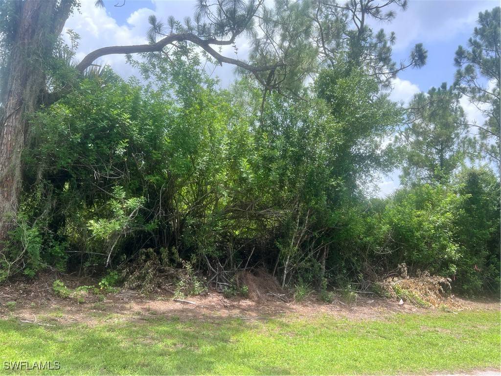 Fort Myers, FL 33905,6020 Juliet AVE