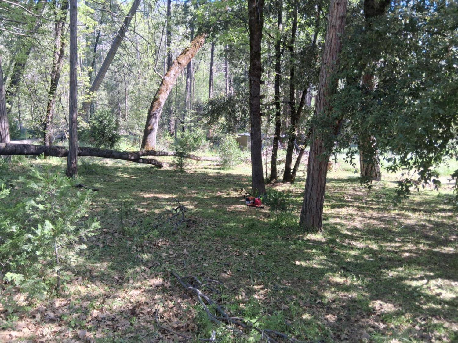 North Fork, CA 93643,8 S Cascadel DR