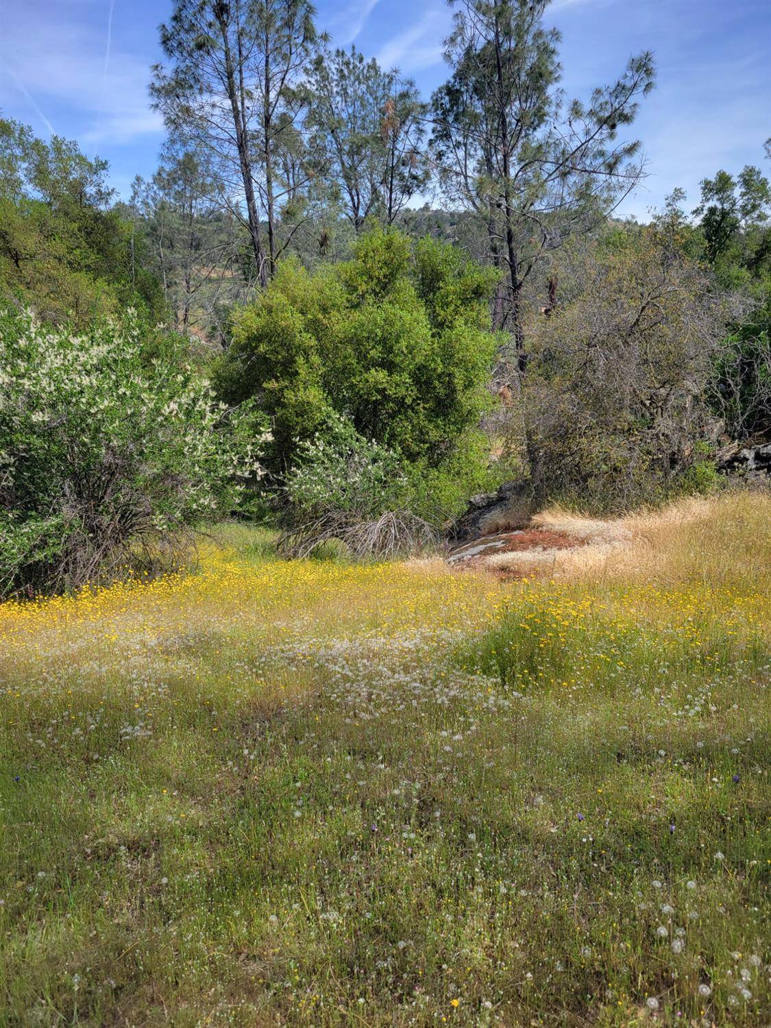 Coarsegold, CA 93614,2 Limestone CIR