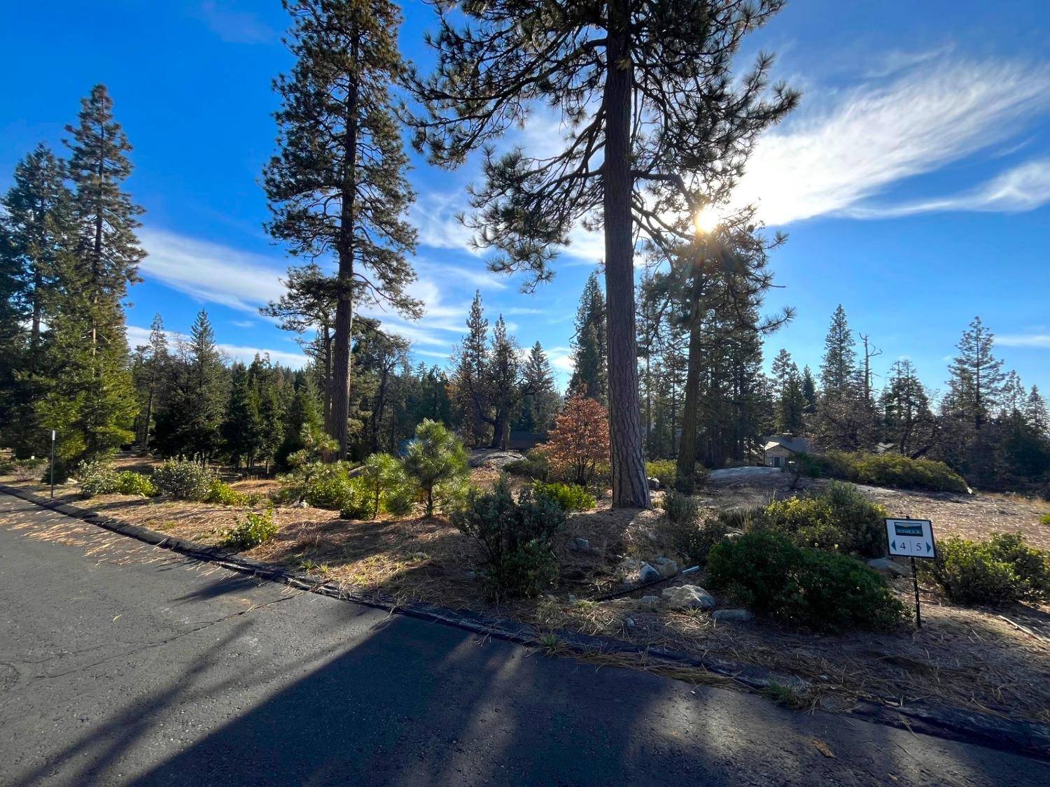 Shaver Lake, CA 93664,39422 Sunset Rock LN #lot 4