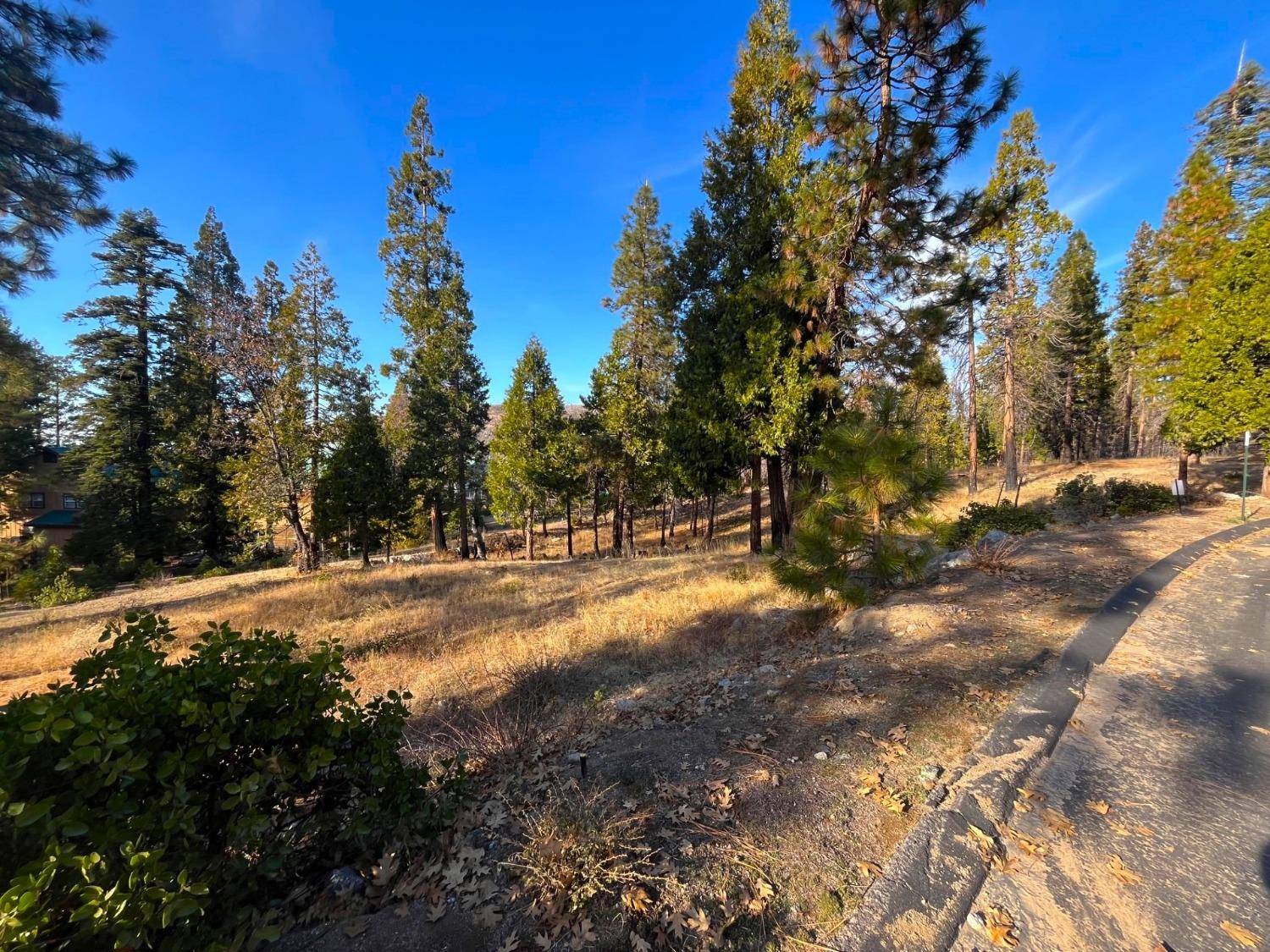 Shaver Lake, CA 93664,39562 Sunset Rock LN #14