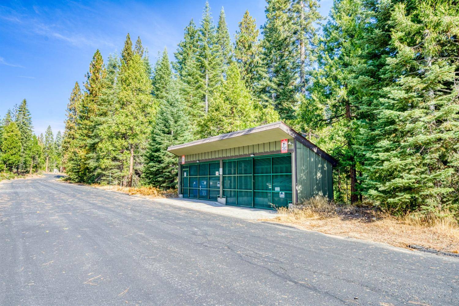Shaver Lake, CA 93664,39562 Sunset Rock LN #14