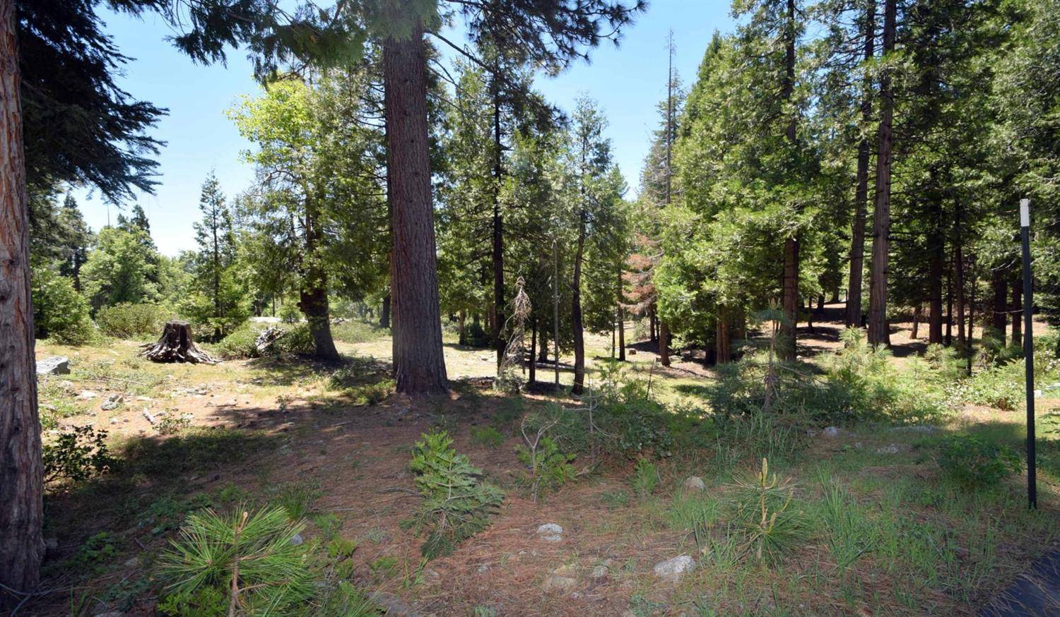 Shaver Lake, CA 93664,42436 Garnet LN #lot48