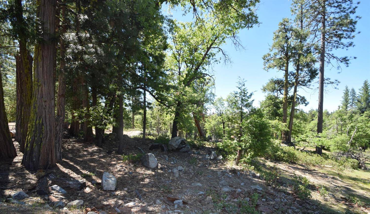 Shaver Lake, CA 93664,42352 Opal LN #lot71