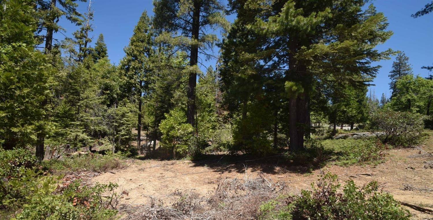 Shaver Lake, CA 93664,42137 Tourmaline LN #lot80