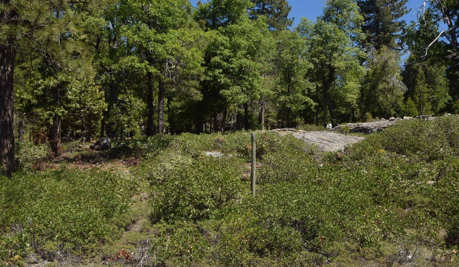 Shaver Lake, CA 93664,42311 Opal LN #lot59