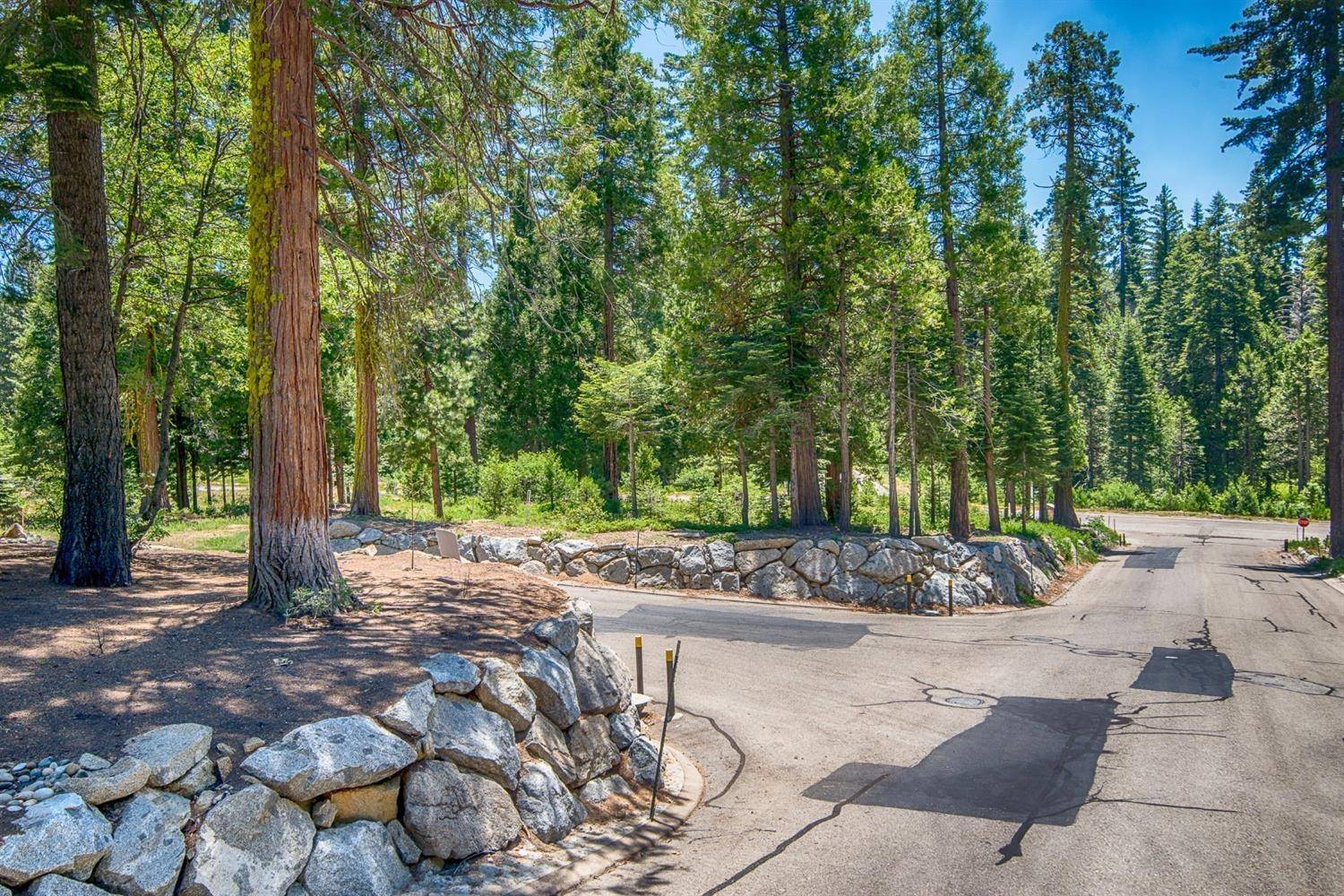 Shaver Lake, CA 93664,42473 Opal LN #63