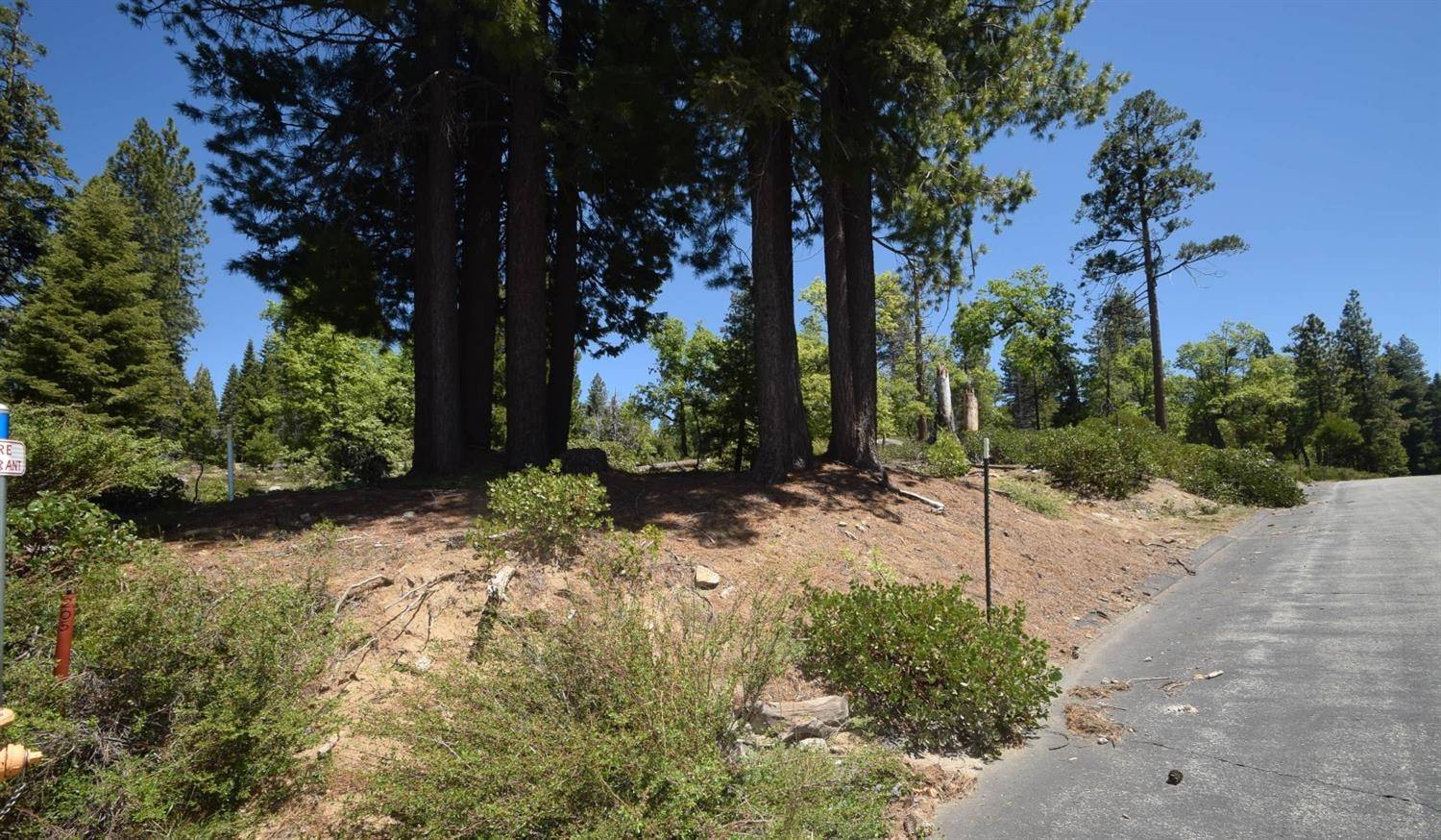Shaver Lake, CA 93664,42203 Tournaline LN #lot81