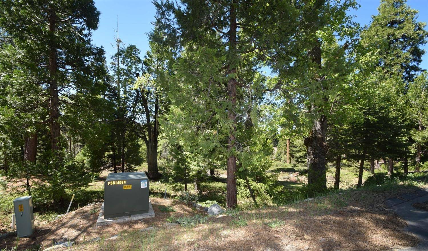 Shaver Lake, CA 93664,42208 Opal LN #lot74