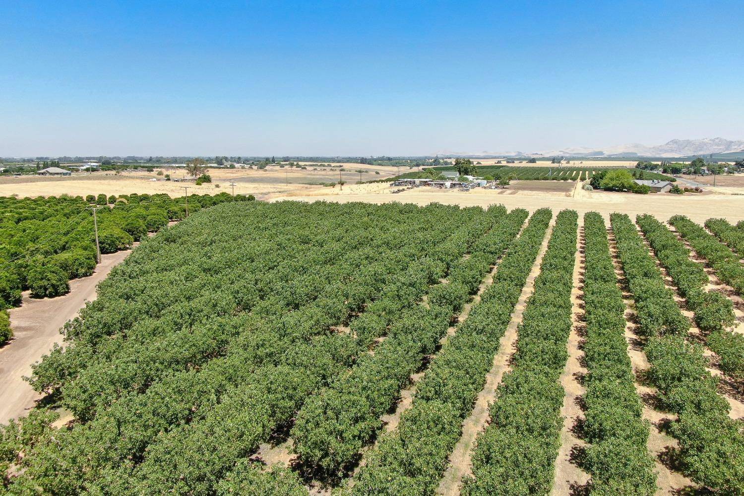 Terra Bella, CA 93270,0 Road 264