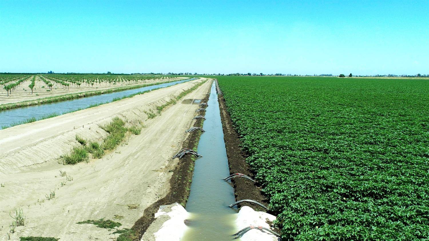 Dos Palos, CA 93620,102 Acre - Henry Miller AVE