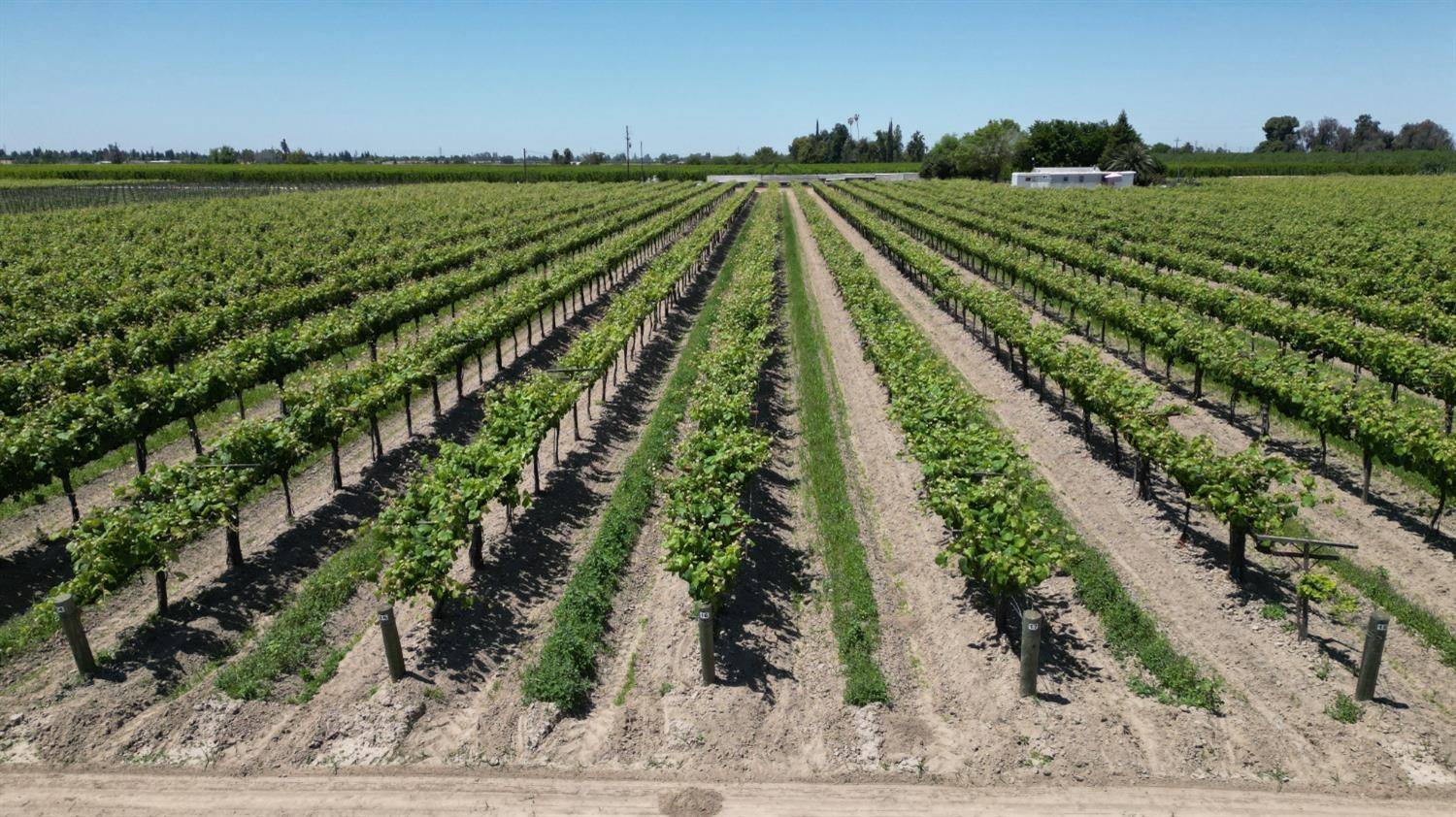 Selma, CA 93662,11250 E Dinuba AVE
