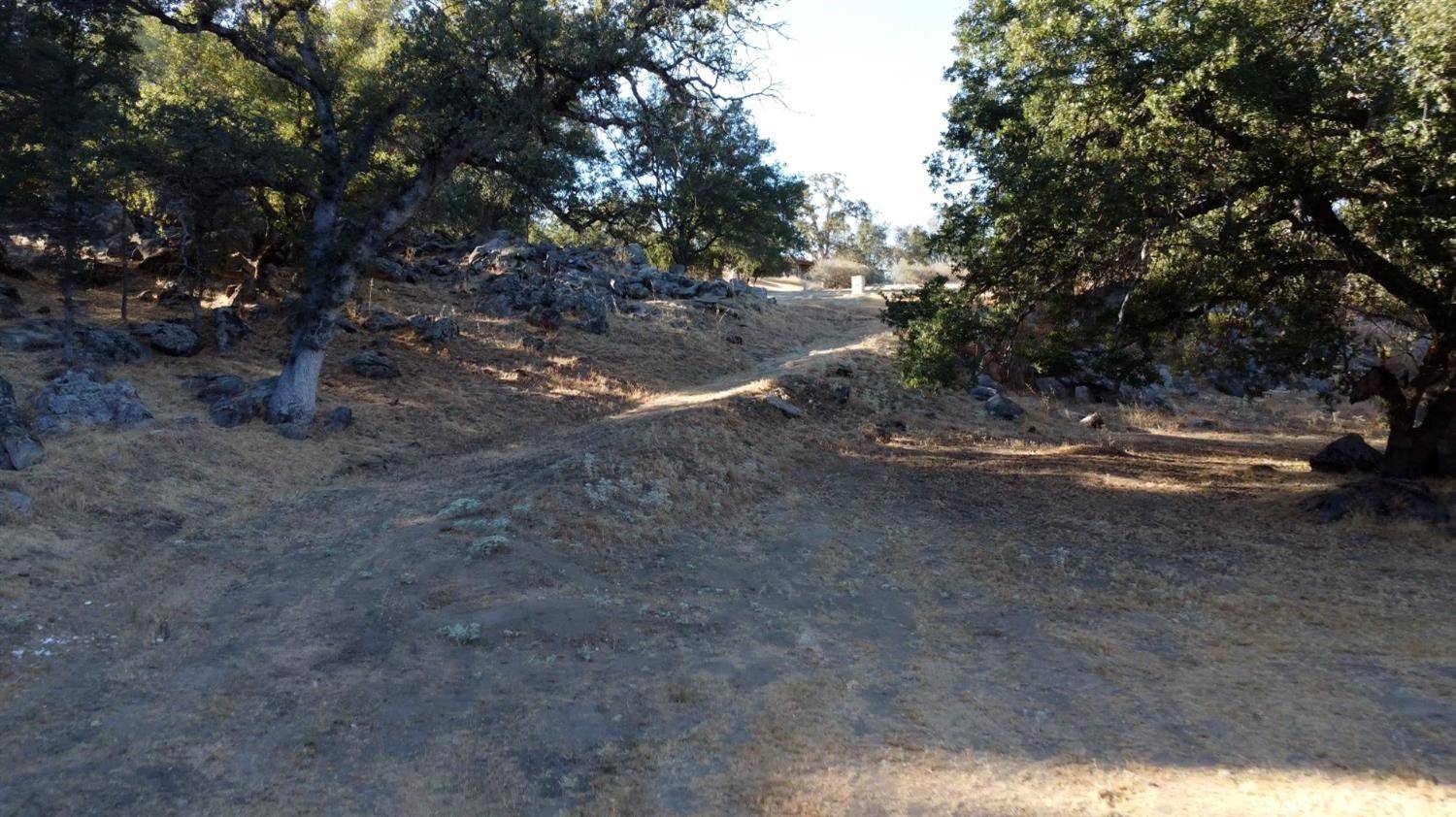 Coarsegold, CA 93614,0 Stetson CT