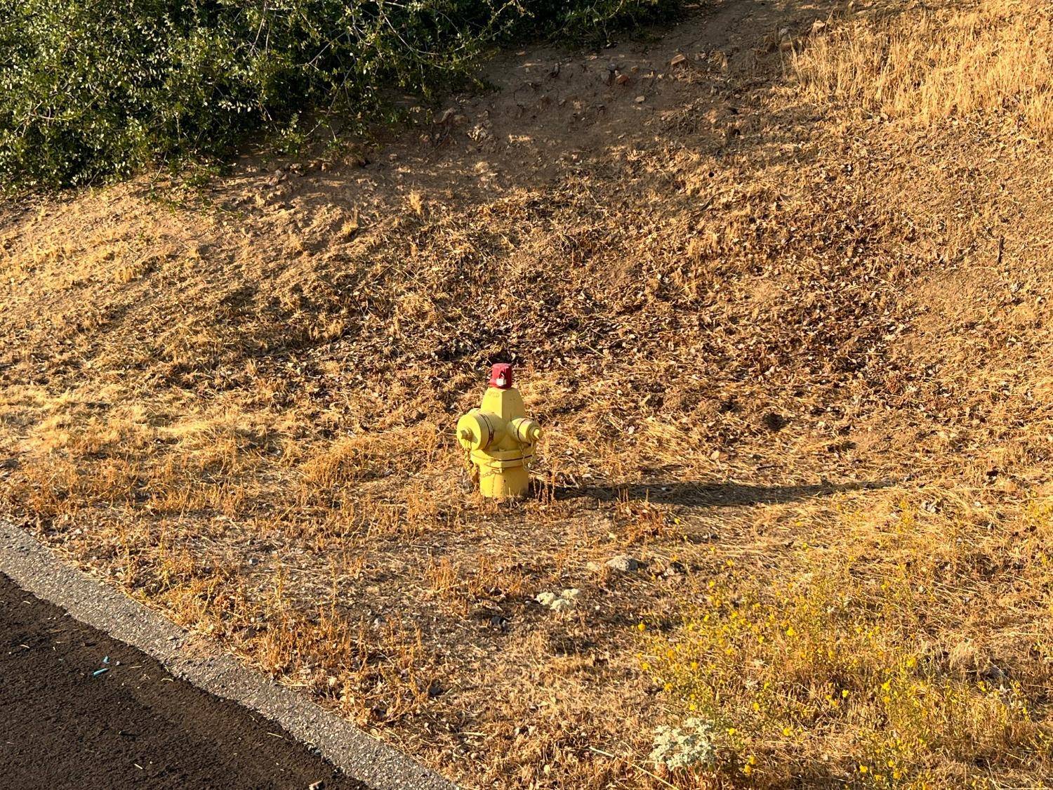 Coarsegold, CA 93614,54544 Sunshine Terrace DR