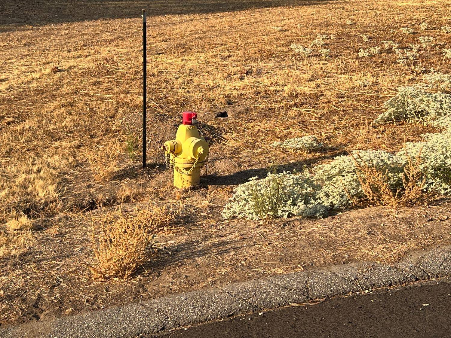 Coarsegold, CA 93614,54544 Sunshine Terrace DR