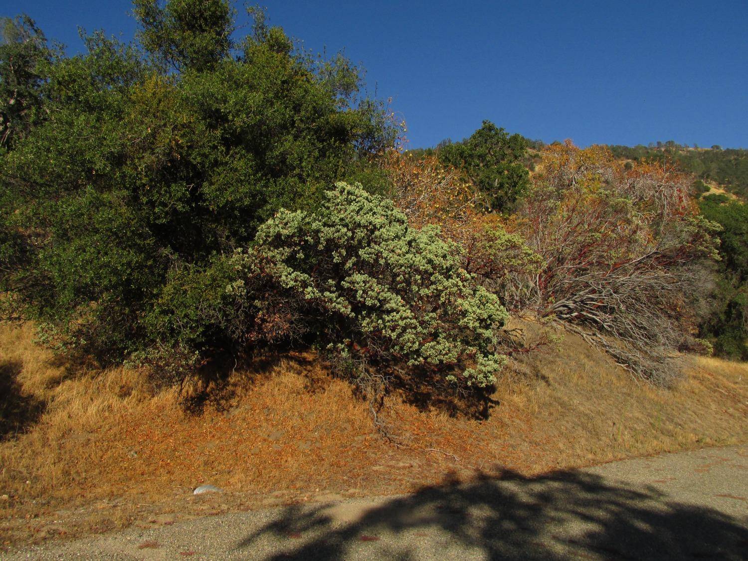 North Fork, CA 93643,2 Old Oaks CT