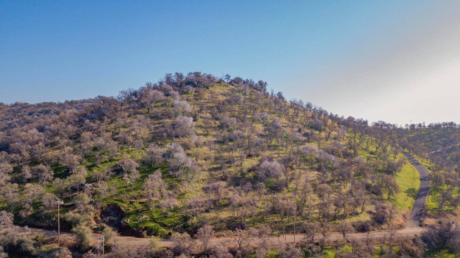 Yokuts Valley, CA 93675,0 Cardinal Ln