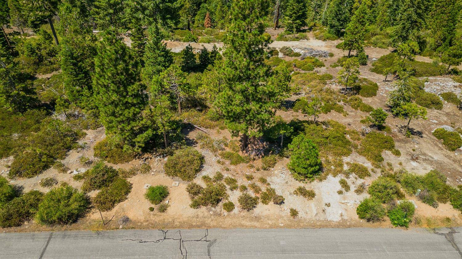Shaver Lake, CA 93664,39 Fawn Lily LN