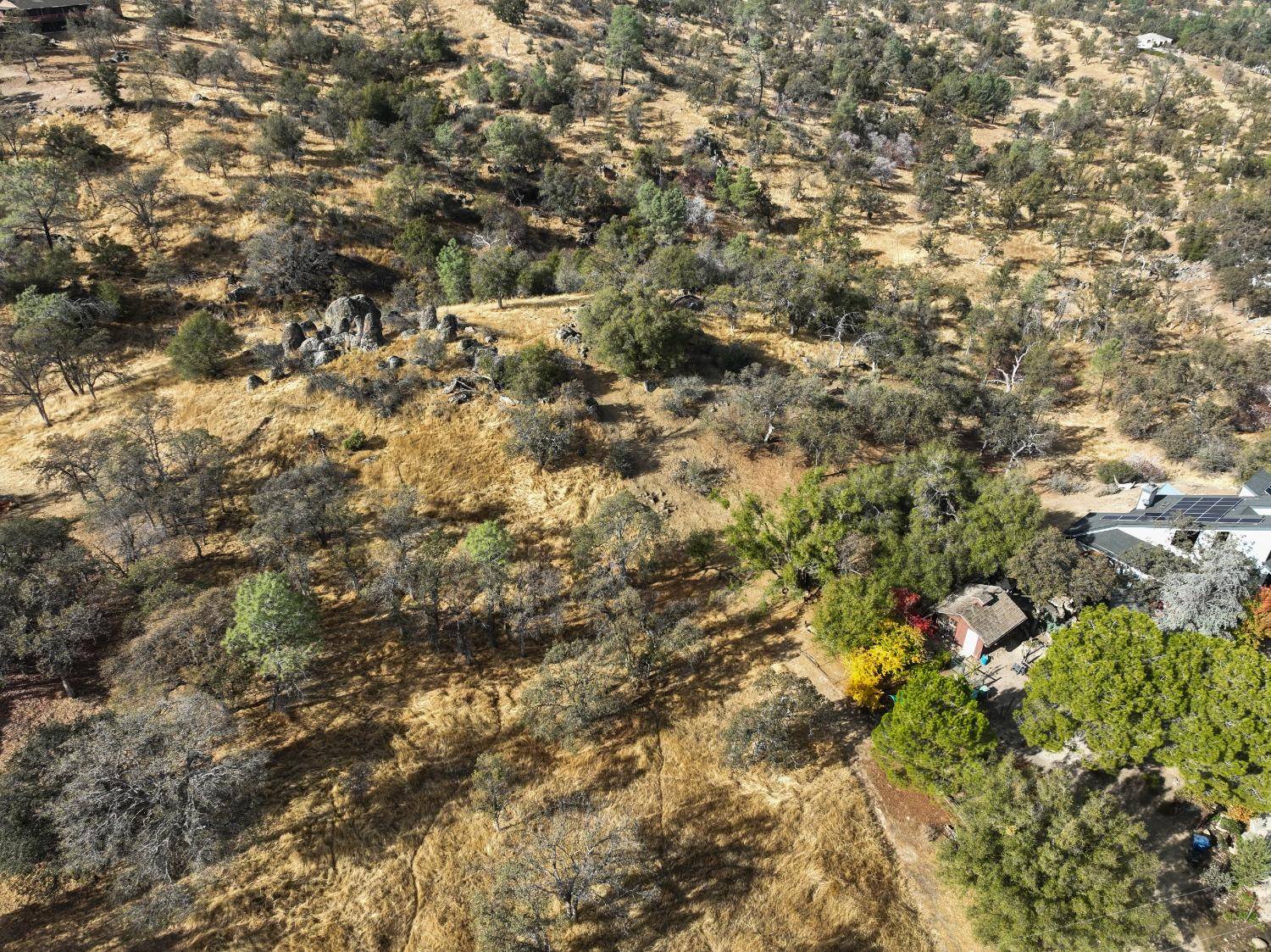 Coarsegold, CA 93614,1203 Corral DR