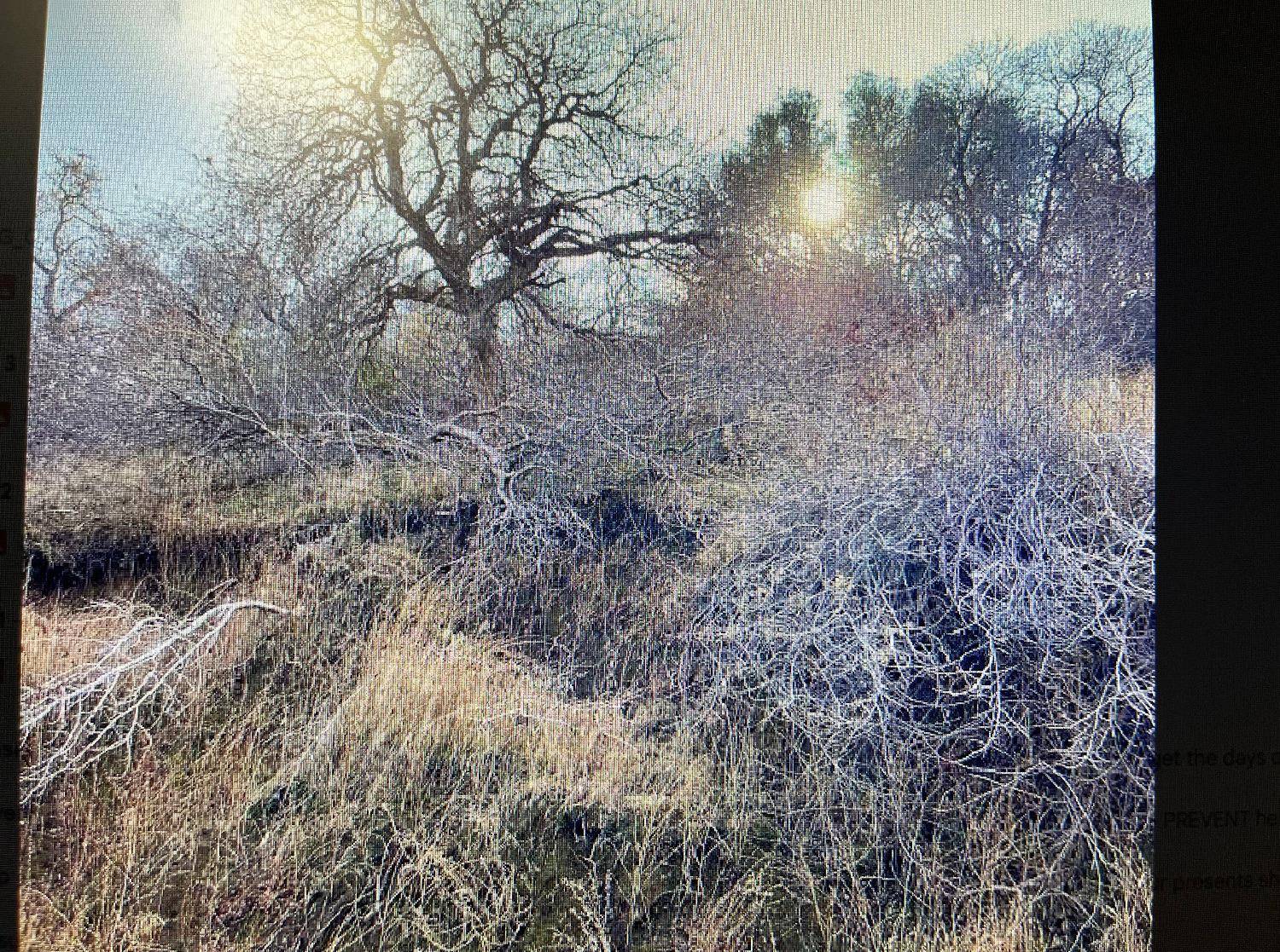 Yokuts Valley, CA 93675,0 Ruth Hill Rd