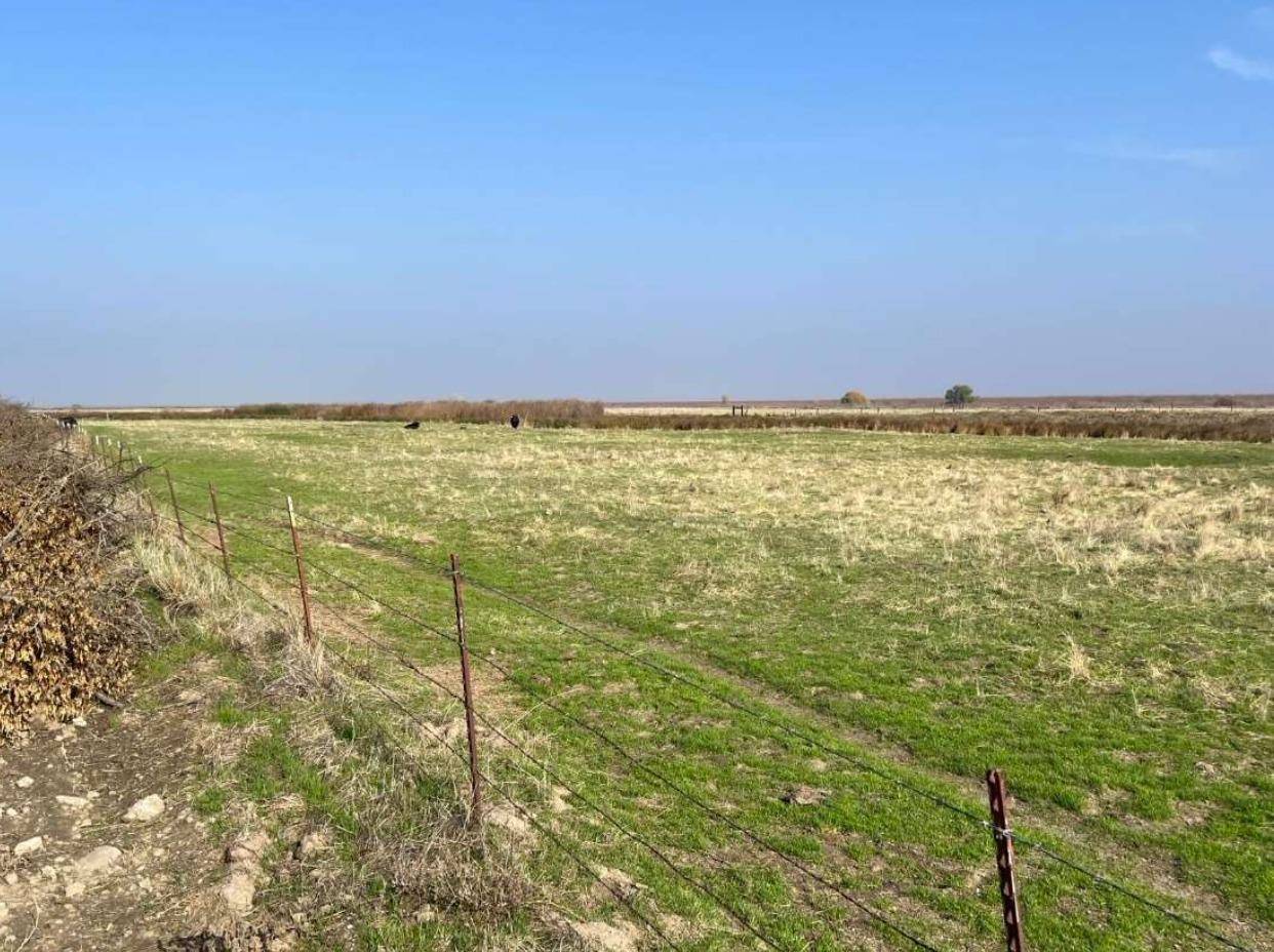 Firebaugh, CA 93622,8827 Road 6