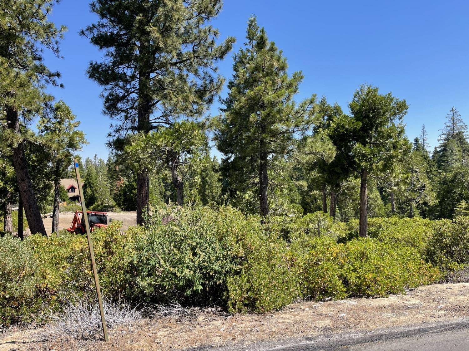 Shaver Lake, CA 93664,14 Fawn Lilly Lane