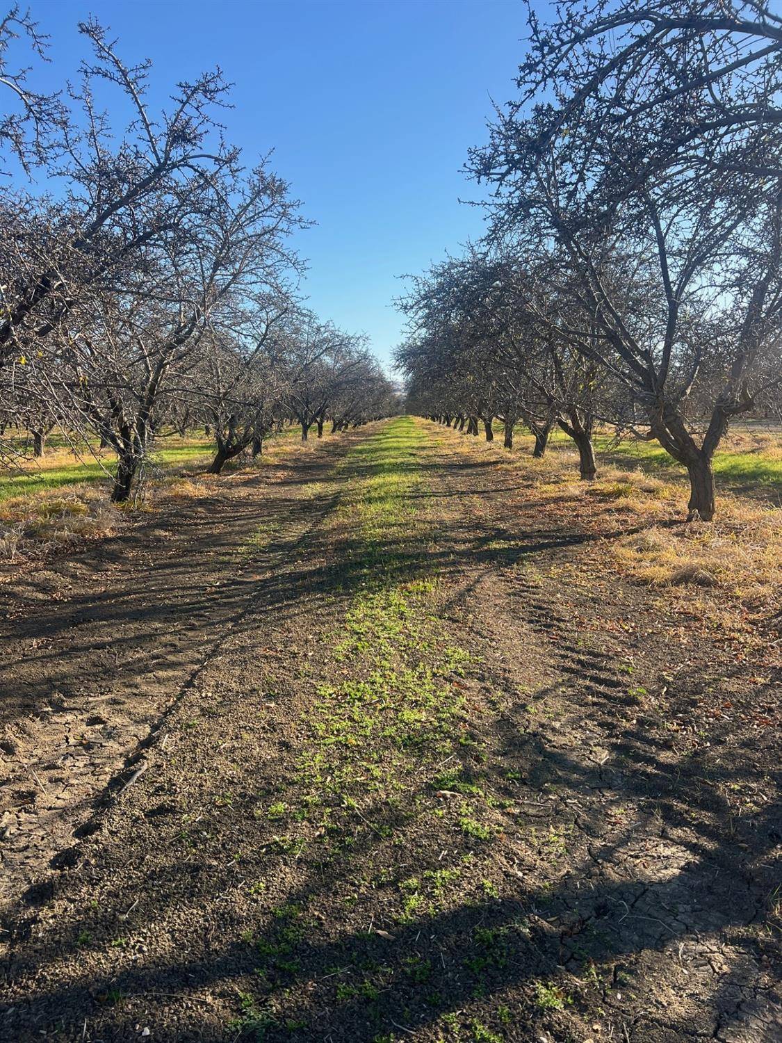 Firebaugh, CA 93622,1 American AVE