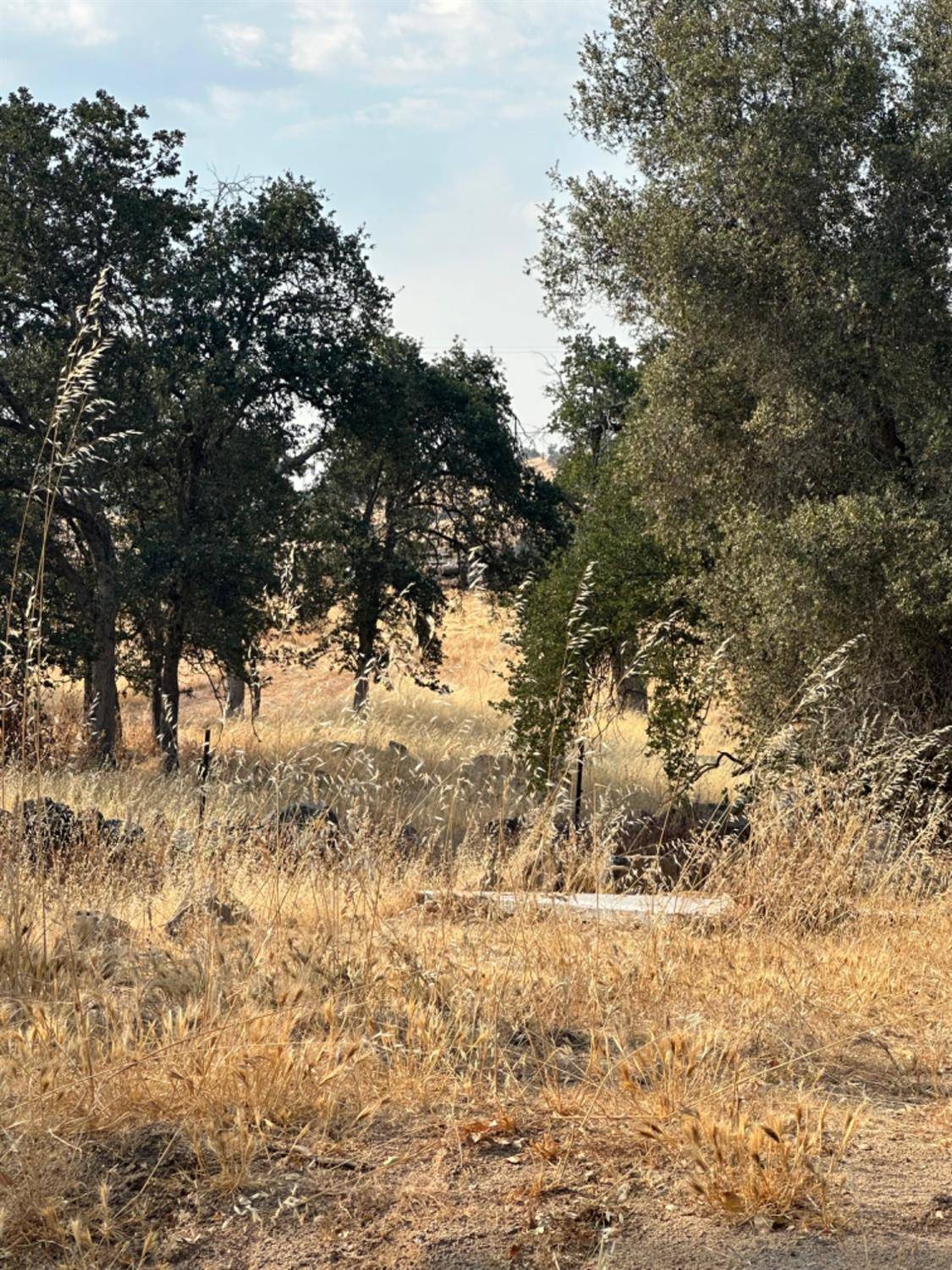 Sanger, CA 93657,6896 Lupine DR