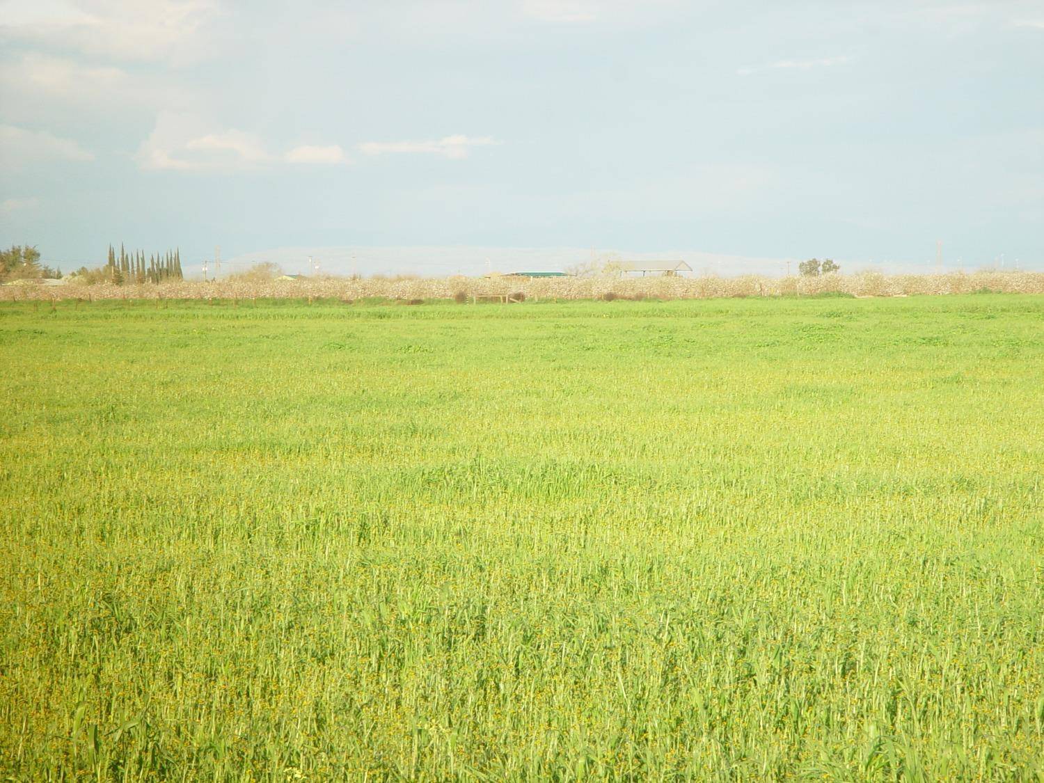 Chowchilla, CA 93610,1 Road 18 3/4