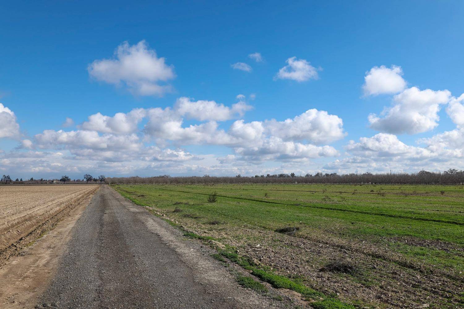 Visalia, CA 93277,10192 Avenue 272