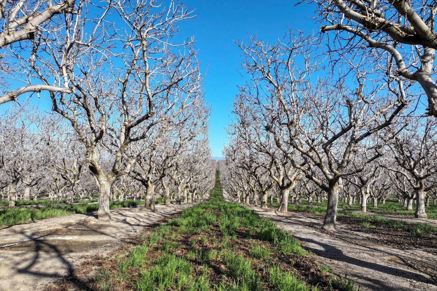 Bakersfield, CA 93308,0 Quality RD