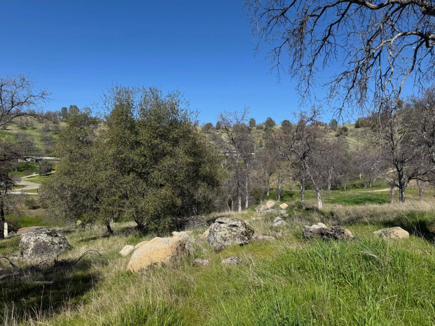 Coarsegold, CA 93614,33116 Rancho De La Fruta LN