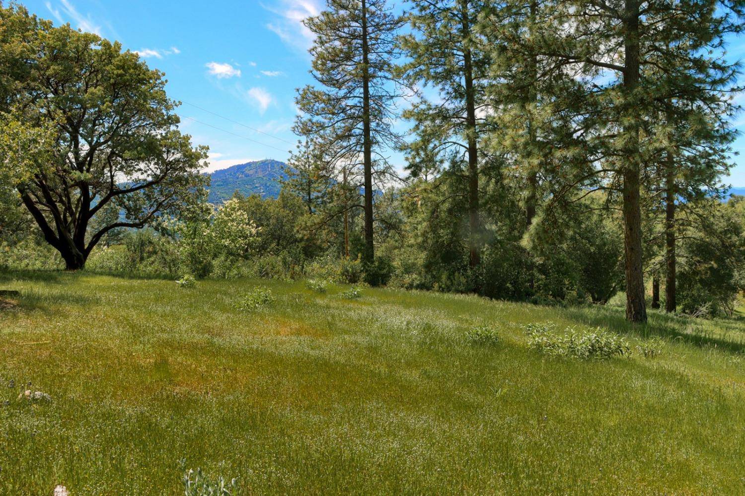 Oakhurst, CA 93644,8 Timberwood LN