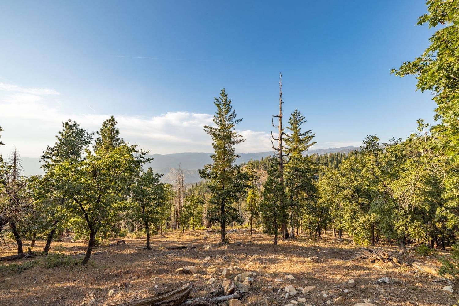 Yosemite, CA 95389,7373 Henness Ridge RD