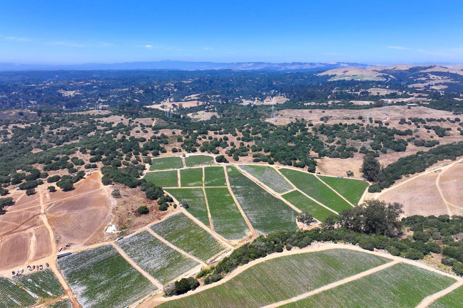 Salinas, CA 93906,0 San Juan Grade RD