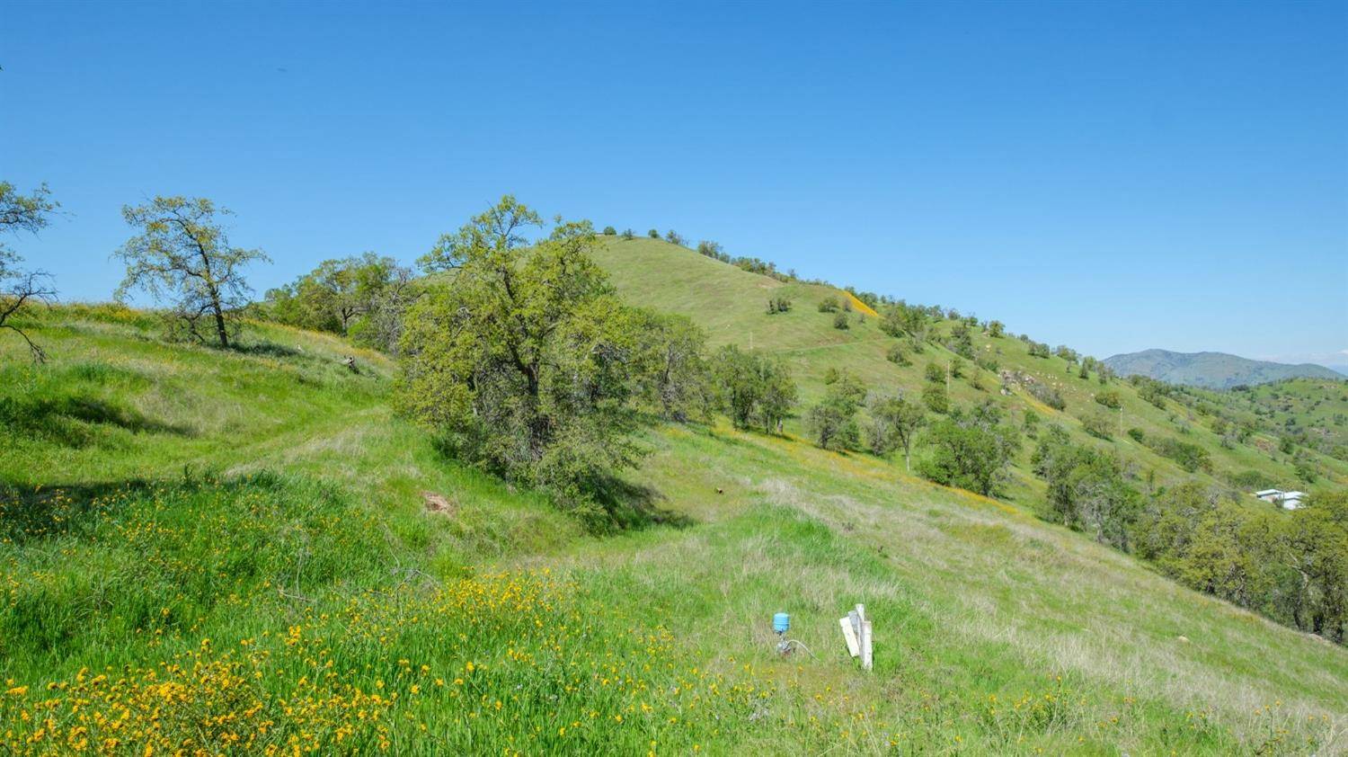 Yokuts Valley, CA 93675,0 George Smith RD
