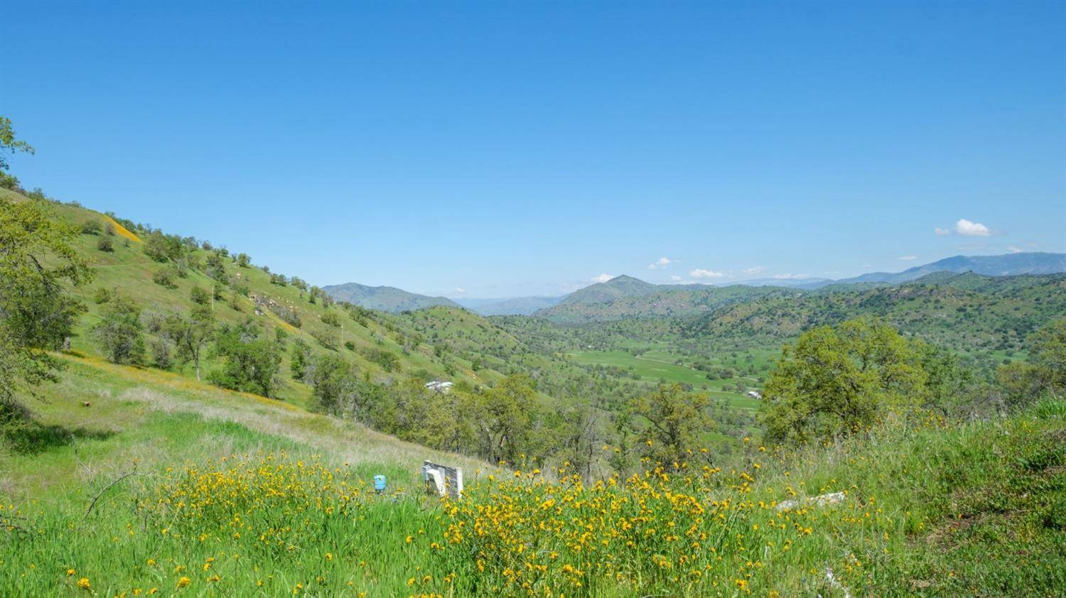 Yokuts Valley, CA 93675,0 George Smith RD