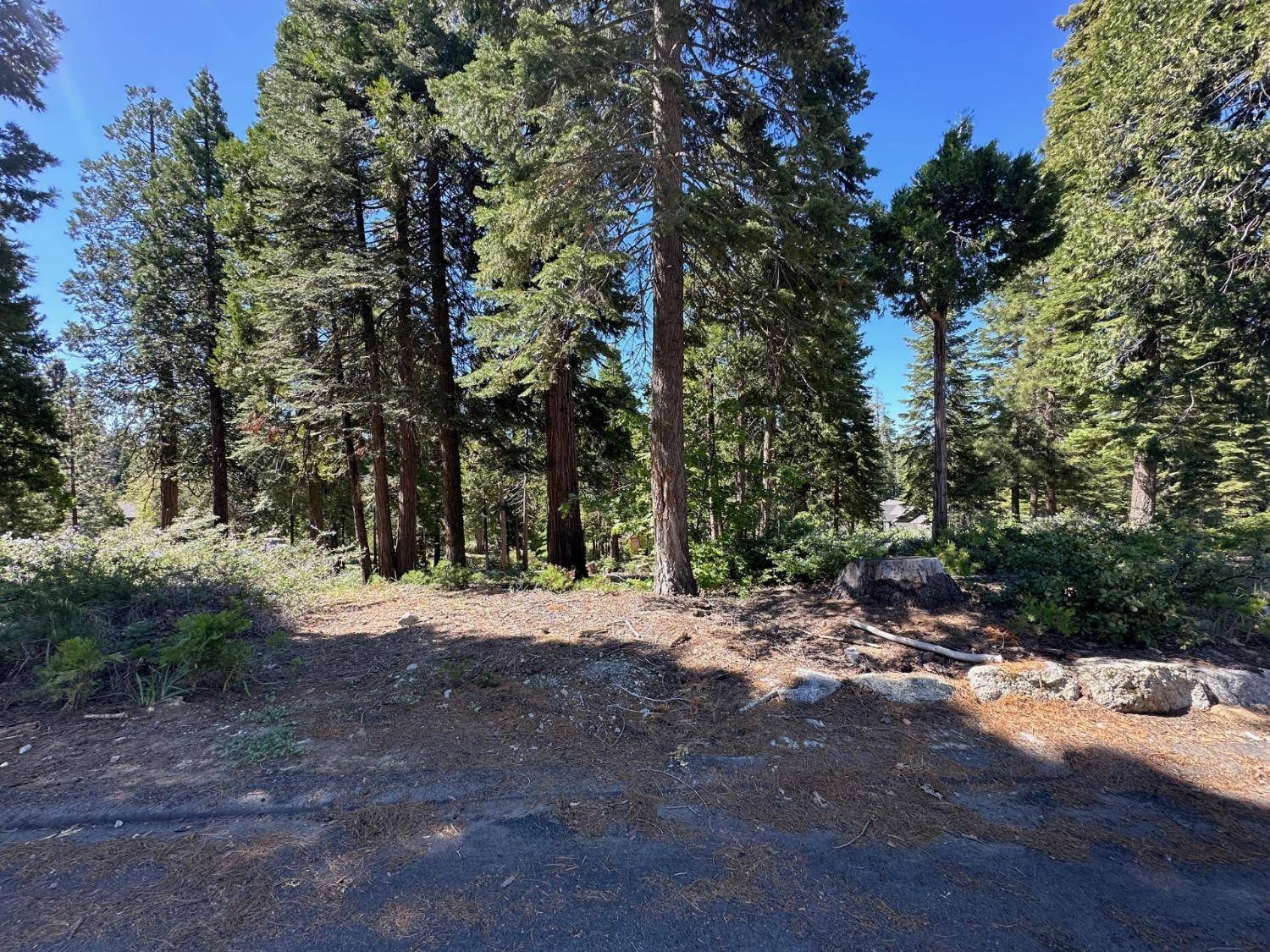 Shaver Lake, CA 93664,42142 Opal LN